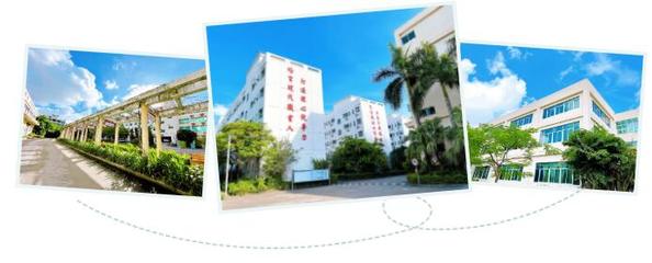 今年上中職學(xué)校,3年后職業(yè)本科擴(kuò)招14倍,珠海市創(chuàng)沃中等職業(yè)學(xué)校職教高考班為你開辟全日制大學(xué)通道